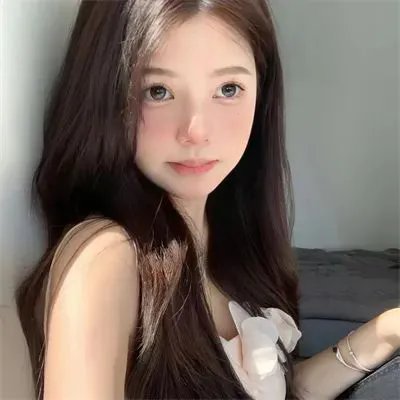 野狗们